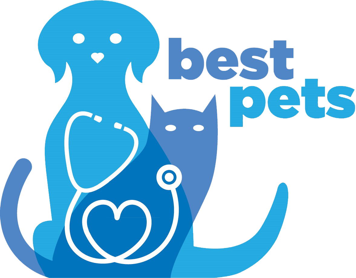 Veterinarian in KY Best Pets Animal Clinic